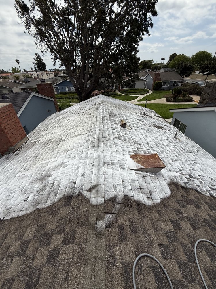 Tile roof before cleaning with moss and algae buildup
