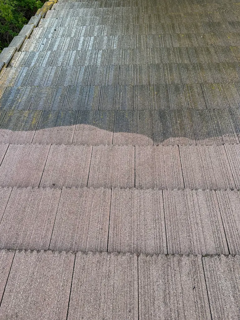 Shingle roof during cleaning showing before and after contrast